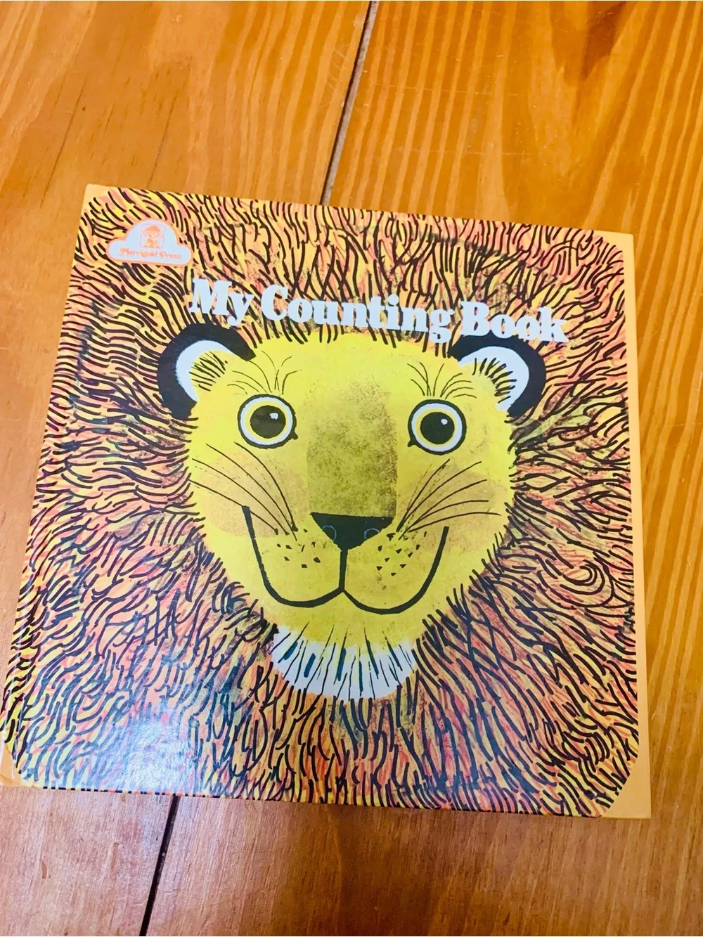 My Counting Book - Lion Cover in Yellow and Orange